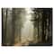 Designart - Dark Green Forest with Sun Rays - Landscape Photography Canvas Print